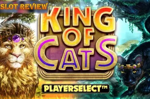 King of Cats slot